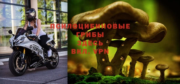 а пвп мука Баксан