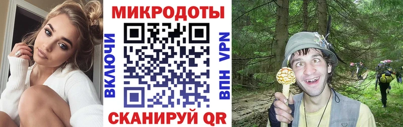 Псилоцибиновые грибы Cubensis  Озёры 